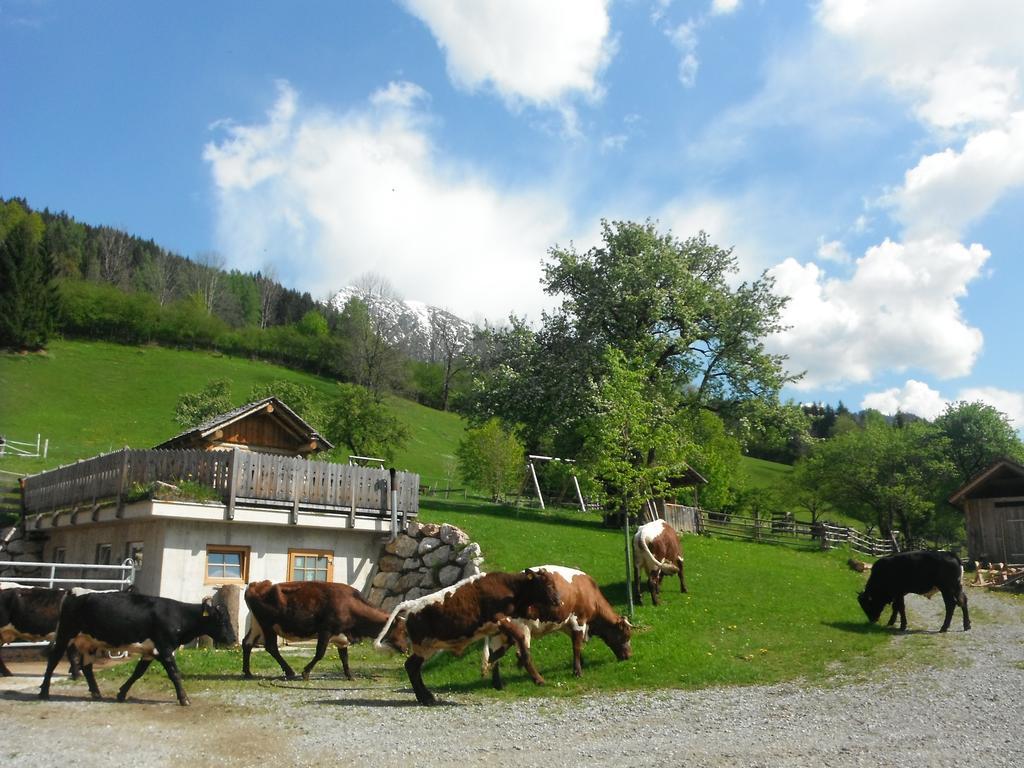 Berghof Thurnergut Spital Am Pyhrn Exterior photo